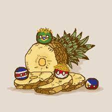 Pineapple Economy Polandballart Cool Drawings Country Art Country Jokes