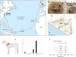 Image result for Oxford Blue 1986 Grimers Transport
