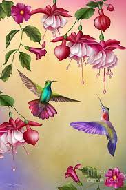 Humming Birds And Fuchsia Jp2784 Art Print By Jean Plout In 2021 Hummingbird Painting Hummingbird Art Bird Art