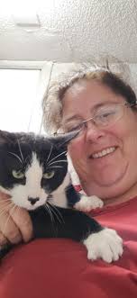 Gandolf found his home where he will be the only cat ￼