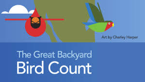 As an avid birder, audubon's walker social media fellow, gabrielle s.aleh, turned to birds and nature as constants during the pandemic. Great Backyard Bird Count Briar Bush Wyncote Audubon Society