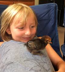 Urban Farm Summer Camp