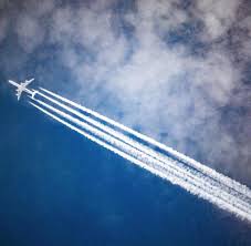 Der flug hat zweifellos eine menge von vorteilen, gilt jedoch nicht unbedingt als die günstigste reiseplanung. Extinction Rebellion Gegen Kurzstreckenfluge Aktivist Nervt Passagiere Welt