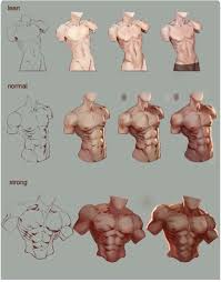 Maybe you would like to learn more about one of these? Human Anatomy Male Torso Drawing Male Torso Drawing At Paintingvalley Com Explore Collection Of Male Torso Drawing