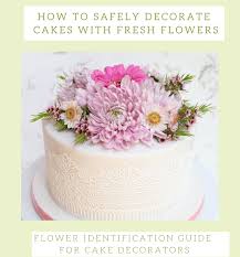 Most of the birthday cake images that you. Flower Identification Guide For Cake Decorators Pdf Download Shani S Sweet Art