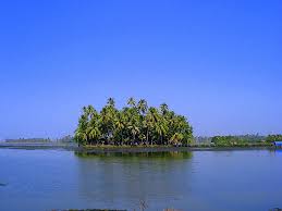 Kumbalangi - Wikipedia