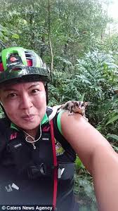 See more of sugar glider malaysia fan club on facebook. Woman Train Sugar Gliders To Swoop Down In Malaysia Daily Mail Online