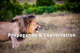 A card, also known as a tile or a portrait, is a design that is fast becoming an online trend, thanks to google, facebook, and twitter. Propaganda In The Trophy Hunting Debate Card Stacking Cherry Picking Name Calling Kiss Conservation Frontlines