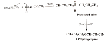 Download free solutions of ncert chemistry class 12th from saralstudy. How Is 1 Propoxypropane Synthesised From Propan 1 Ol Write Mecha