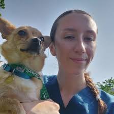 Veterinarian In Cork