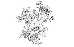 Check spelling or type a new query. 18 Contoh Gambar Flora Dan Fauna Simple Dan Mudah Broonet