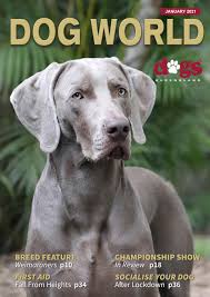 In total that's about 280.5 million cups of coffee consumed at home by americans each day or about 102 billion cups per year. Dog World Magazine January 2021 By Dogs Queensland Issuu
