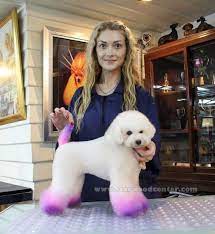 Love This So Much Creative Fur Coloring Dog Grooming Dog Grooming Styles Dog Grooming Grooming Style