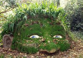 Discover The Enchanting Giants Of The Lost Gardens Of Heligan Lost Gardens Of Heligan Lost Garden Gardens Of The World
