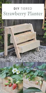 We did not find results for: Diy Tiered Strawberry Planter Vertical Planter Box For Your Garden Hydrangea Treehouse