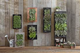 They are so popular we are having a hard time keeping up! Vertical Garden Design Hgtv