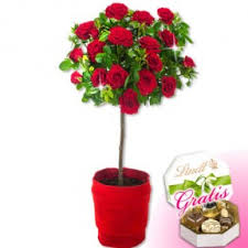 These stunning bouquets will make your loved one smile. Buy Valentine S Day Flowers To Germany Best Valentine Flowers