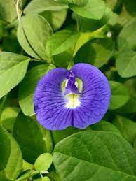 Pin On Nature Photography