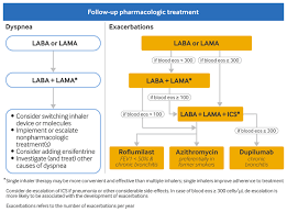 Image result for COPD Exacerbation Decision Tool