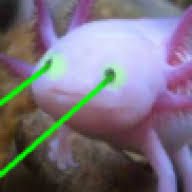 Find here how shock chewing gum works and what is inside a shock chewing gum along with the circuit diagram. Miniumum Voltage Needed To Shock Laser Pointers