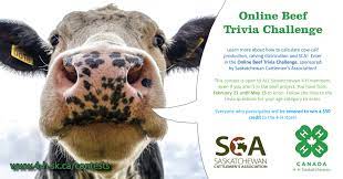 Pixie dust, magic mirrors, and genies are all considered forms of cheating and will disqualify your score on this test! Do You Know About Our Beef Trivia 4 H Saskatchewan Facebook