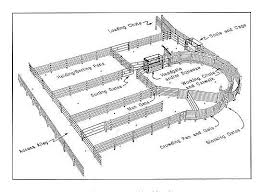 Error Page Beef Cattle Cattle Ranching Cattle Corrals