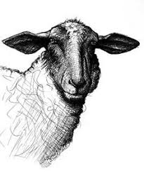 Black And White Sheep Drawing 1000 Images About Drawing Lessons On Pinterest Drawing Lessons Sheep Paintings Sheep Drawing Sheep Wall Art