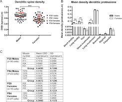 Il propose en collaboration avec des écrivains publics professionnels des modèles de lettres, des cv, des discours et des documents types, mais aussi des conseils de rédaction et des informations pratiques. Sex Differences In Dendritic Spine Density And Morphology In Auditory And Visual Cortices In Adolescence And Adulthood Scientific Reports