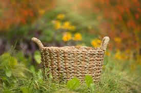 The background remover fast and easily extracts objects from a complex background of a digital image. Kcc Newborn Digital Backgrounds Kcc Photoshop Actions