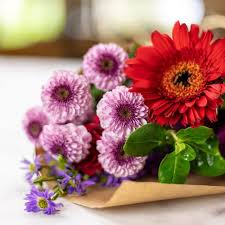 Maybe you would like to learn more about one of these? How To Use Silica Gel For Drying Flowers Complete Guide