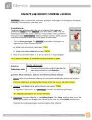 Maybe you would like to learn more about one of these? Chicken Genetics Gizmo 1 Student Exploration Chicken Genetics Vocabulary Allele Codominance Dominant Genotype Heterozygous Homozygous Phenotype Course Hero