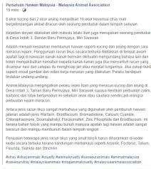 Maybe you would like to learn more about one of these? Malaysiaanimalassociation Hashtag On Twitter