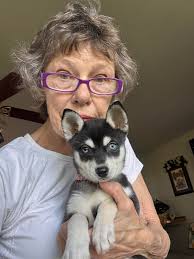 guessthenamechallege Bred by Bette Cook