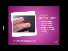 Fertile Cervical Mucus Pictures And Checking Cervical Mucus Youtube