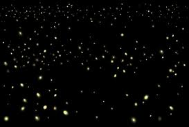 The process is quite simple and after this tutorial, you'll be overlaying pictures on top of each other left and right like a pro. Free Firefly Overlay Bundle 100 Photoshop Overlays