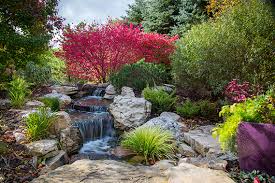 Daarom hebben we de ultieme handleiding geschreven! Backyard Ponds Water Features Water Gardens By Aquascapes