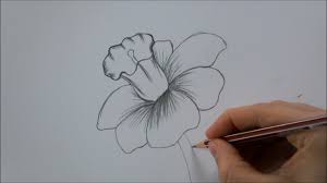 Draw tulip flowers in few easy steps. How To Draw A Flower Step By Step In 6 Minutes Youtube