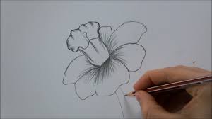 A solution to this problem is to create a grid of guidelines. How To Draw A Flower Step By Step In 6 Minutes Youtube