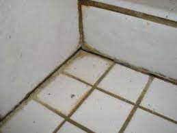 Shower grout seems to be leaching epoxy. Prevent Expensive Bathroom Repairs Promaster 513 724 0539