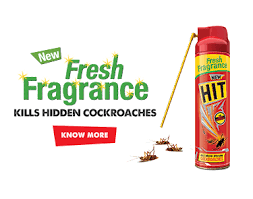 Pest control bangalore , pest control offerings bangalore. Godrej Hit Mosquito Cockroach Insect Killer Pest Control Specialist