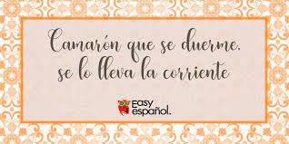 Saying Of The Day Camaron Que Se Duerme Se Lo Lleva La Corriente