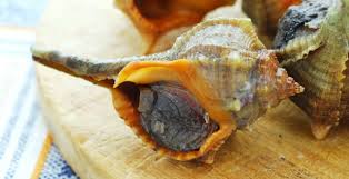 Il dattero di mare è un mollusco bivalve della famiglia mytilidae: Molluschi E Frutti Di Mare Classifica Dei 15 Piu Buoni Agrodolce