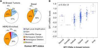 Frequent Nf1 Deletion In Human Breast Cancer A Percentage Of Nf1 Cna Download Scientific Diagram