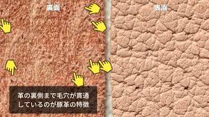 豚 革 牛革 違い