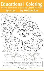 Pin On Coloring Pages