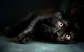 Friday the 13th ) — американський фільм. P Yatnicya 13 Usi Nebezpeki Fatalnogo Dnya I Komu Buti Oberezhnim Znaj Yua
