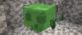 Slimes are a bouncy and elusive minecraft mob. Taking Inventory Slimeball Minecraft