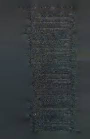 Image result for Hermannia eenii