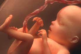 Bébé dans le ventre a le hoquet. Mon Joli Coeur Dans Mon Ventre Bebe A Le Hoquet