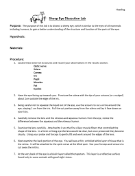 Cow Eye Dissection Worksheet Answers Cow Eyes Student Skills Dissection